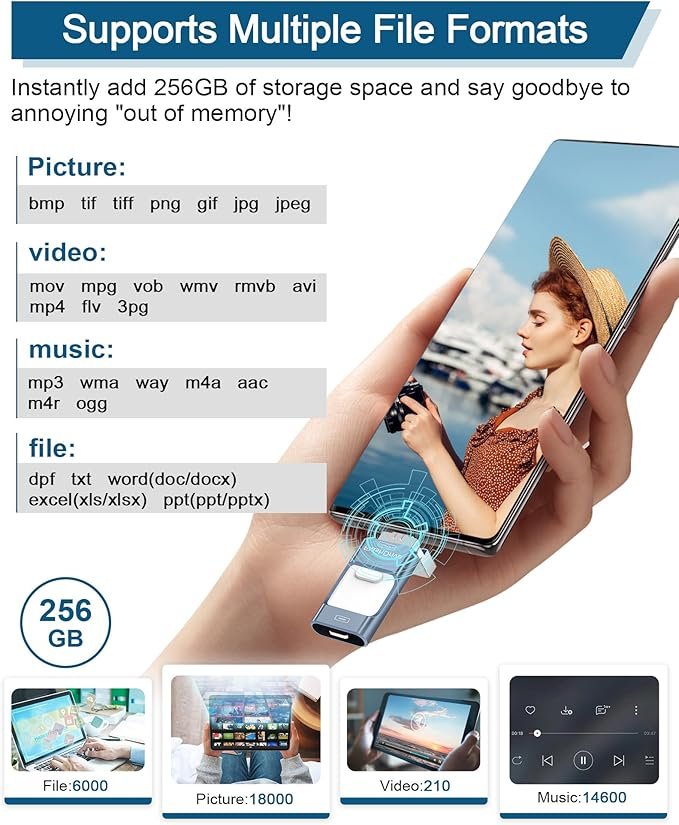81RwHq20ZDL._AC_SX679_ ZARMST 256GB USB Stick für Phone, 4-in-1 - Gambar 3